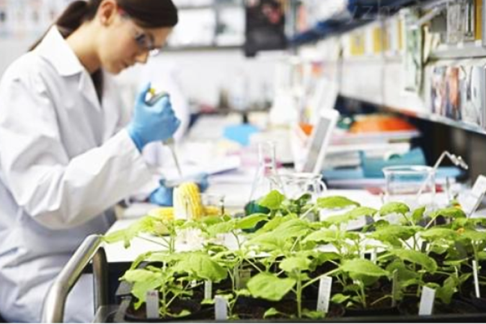 20210331655168.png 6.png