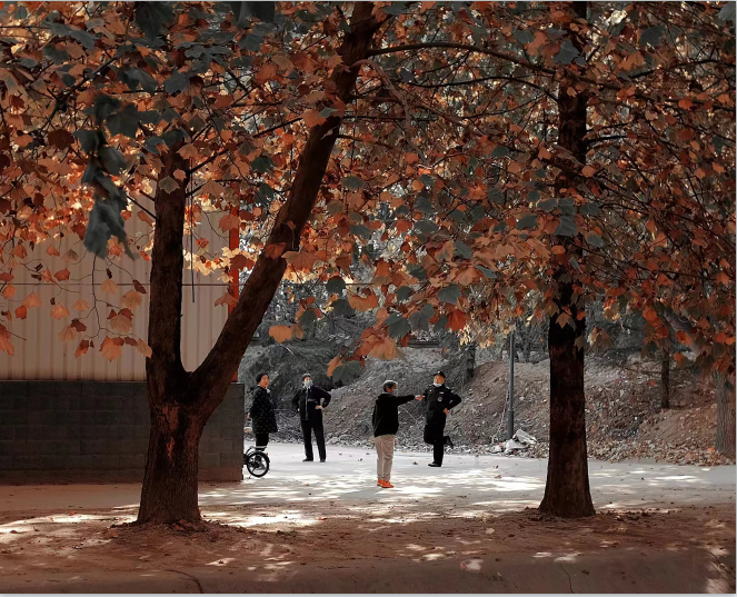 20221219122959.png 微信图片_20221219120522.png