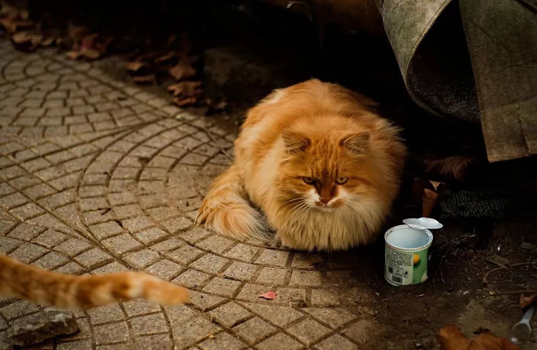 20221219218085.jpg 微信图片_20221219120501.jpg