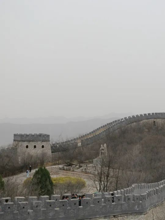 20230320269551.png 图片4.png