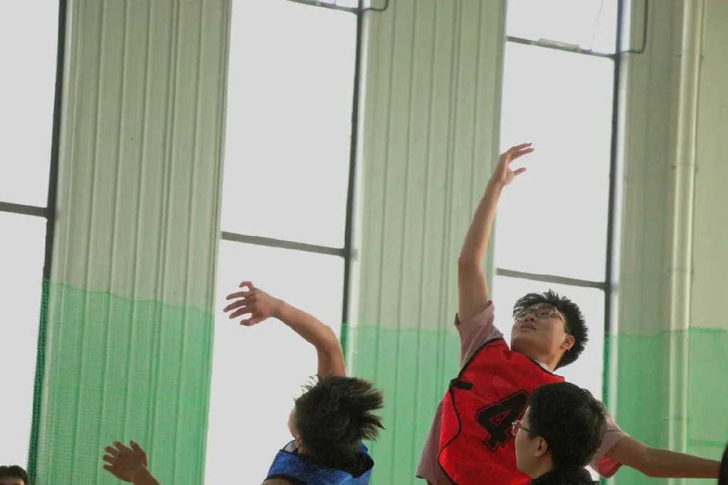 20241030762836.jpg 4.jpg