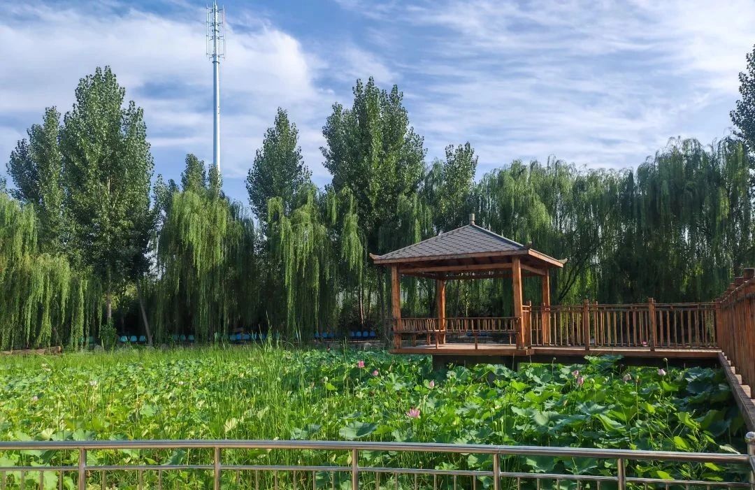 8b1941aeb42cf2301ea32a46aa5ddb14